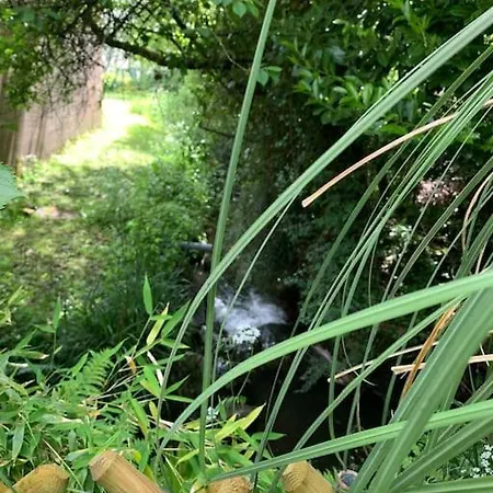 O Fil De L Eau *
